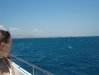 CIMG0970_621x466