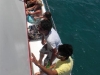 CIMG1012_621x466