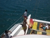CIMG1020_621x466