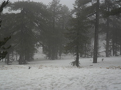 troodos2